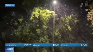 Метель на фоне зеленых деревьев: первый снег выпал в Смоленской области