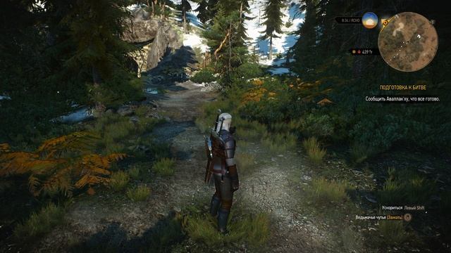 The Witcher 3 Wild Hunt ч38