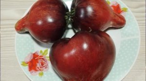 Томат Огненная Комета Софии