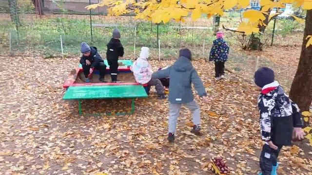 Минута прогулки. 13.10.2025 смотреть онлайн