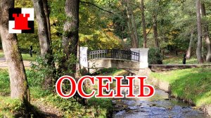 Середина Калининградской Осени. Прогулка по Центральному парку