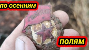 по осенним полям