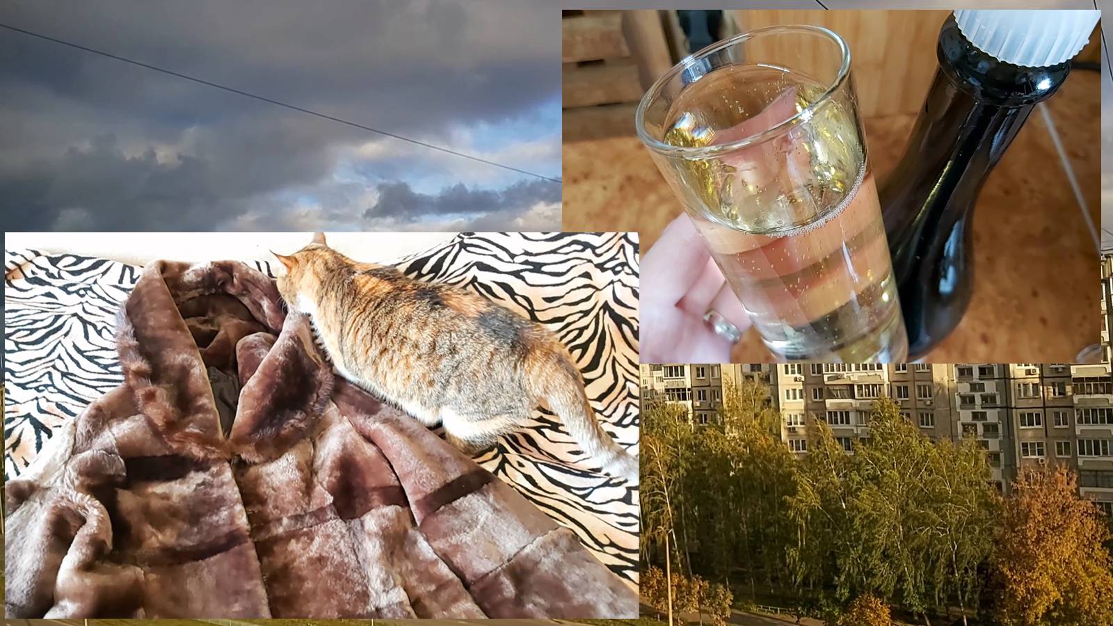 Купила шубу)))! Отмечаю)))! Новый способ открыть шампанское)))! смотреть онлайн