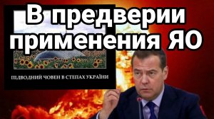 В ПРЕДВЕРИИ ПРИМЕНЕНИЯ ЯО