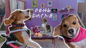 День Бигля 2025
