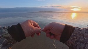 Осенние сиги на резинку 11.10.10.2025