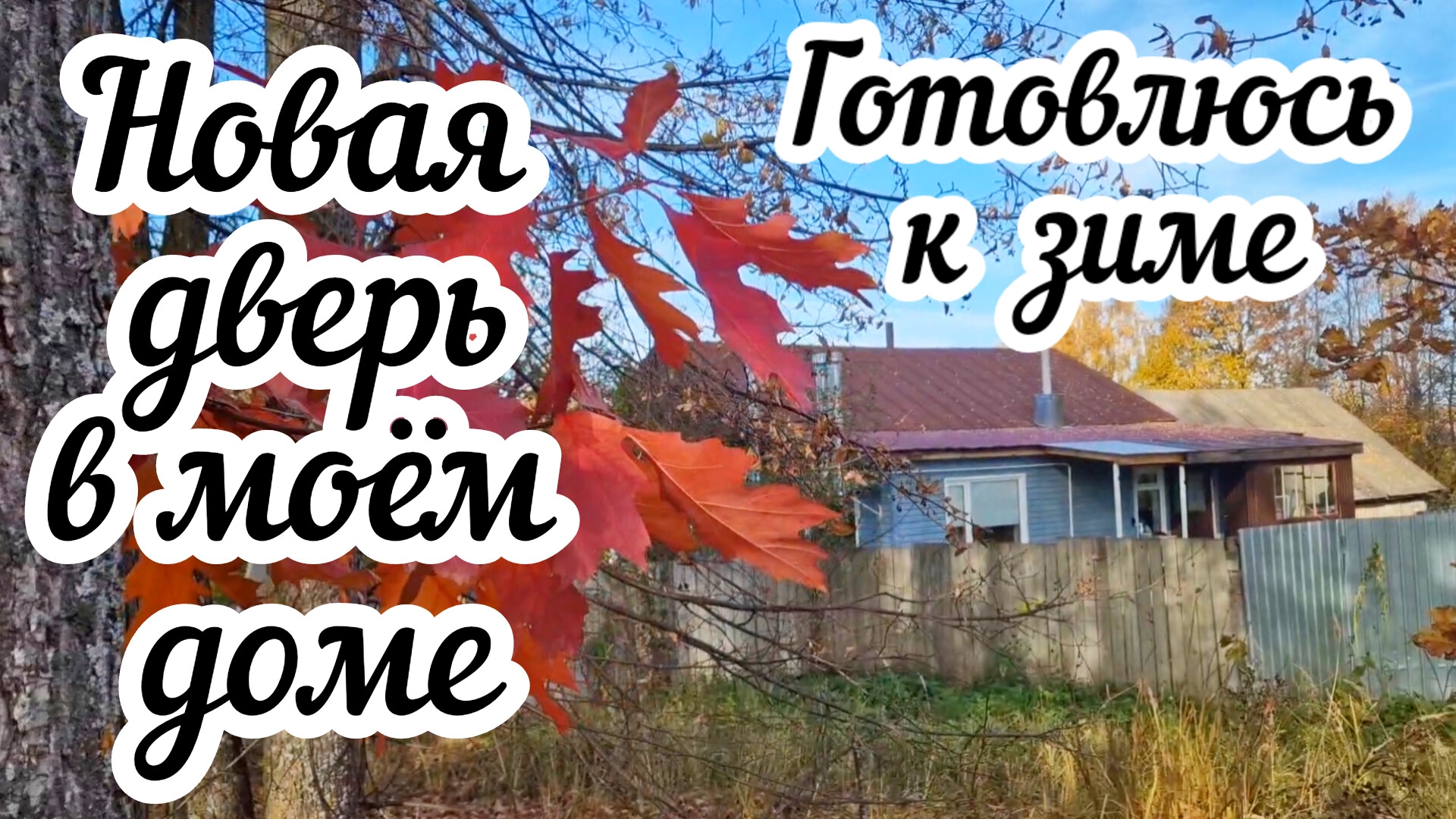 Готовлюсь к зиме в деревне ❄️ Заготовка дров и хвороста🌲 Установила тёплую дверь 🏠 смотреть онлайн