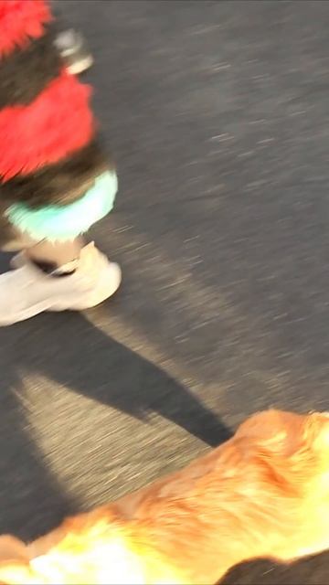 Twitch: EricMyval УКРАЛИ ФУРСЬЮТ смотреть онлайн