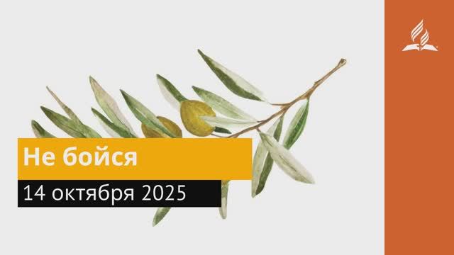 14 октября 2025. Не бойся. Под сенью благодати. смотреть онлайн