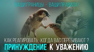 ПРИНУЖДЕНИЕ К УВАЖЕНИЮ. Ваши границы — ваши правила. Как реагировать, когда вас перебивают?