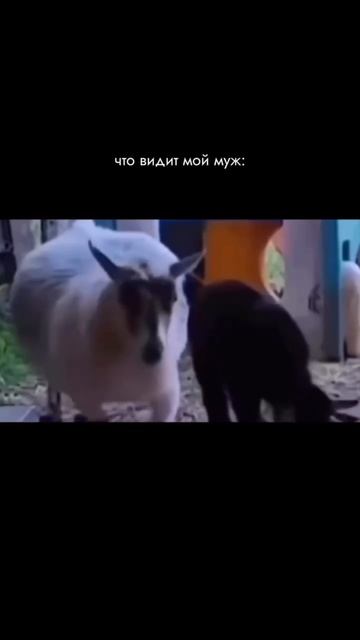 Copy_416178F7-8225-4CCB-8F70-0BD884F67501