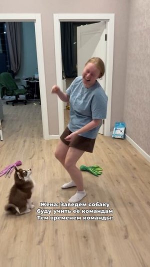 Какую ещё команду выучить? #морозовы #юмор #отношения #семья #собака
