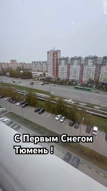 первый снег