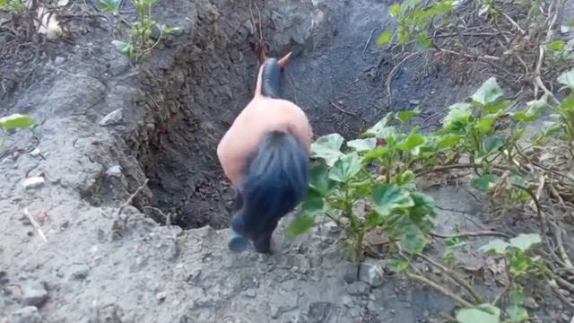 оживленные фото смотреть онлайн