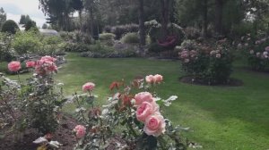 Дело было вечером, делать было нечего...  8 июля 20025 г.