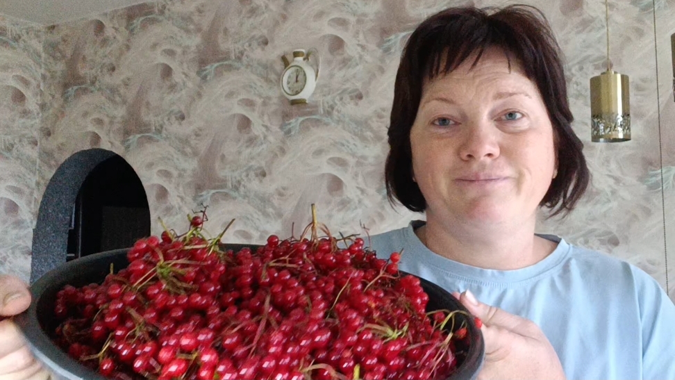 Калина за зиму. смотреть онлайн