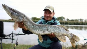 Первые щуки осени 2025 рыбалка на живца