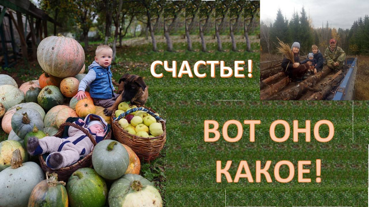 ЧТО МЕШАЕТ БЫТЬ СЧАСТЛИВЫМ? смотреть онлайн