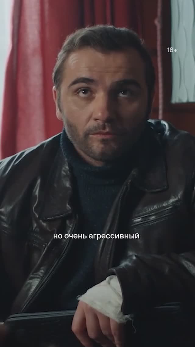 Лисы добрее собак? | Сериал «КАК ПРИРУЧИТЬ ЛИСУ» в Okko смотреть онлайн