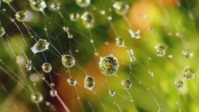 ПОД ЗОНТОМ - Жанна Вишнякова Арс смотреть онлайн