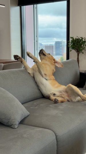 Зря он показал😁