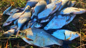 рыбалка с ночевкой на две ночи