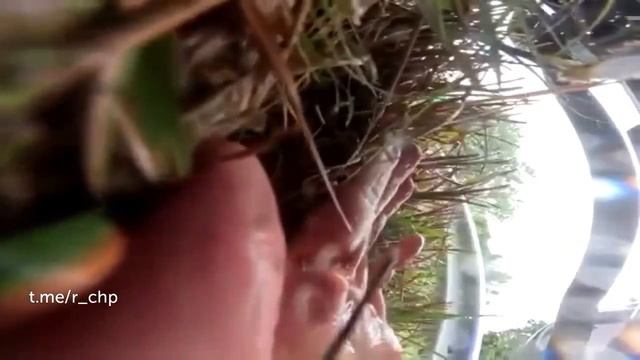 Популярный мотоблогер приехал в Джорджию снимать контент смотреть онлайн