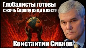 Глобалисты готовы сжечь Европу ради власти. Константин Сивков