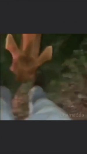 топ олдовский мемасик