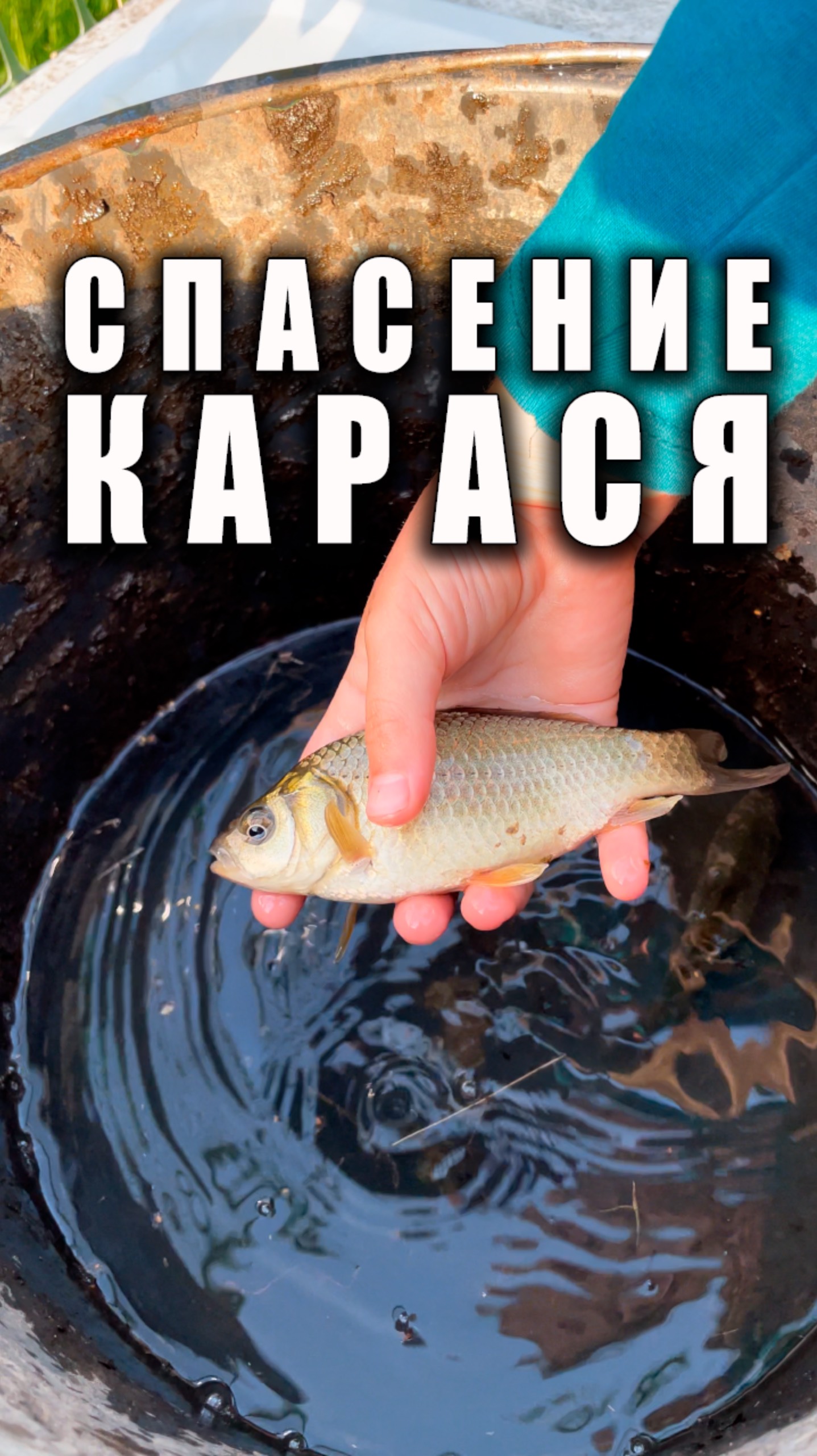 Спасение карасей из грязного пруда 🎣 Антирыбалка #юмор смотреть онлайн