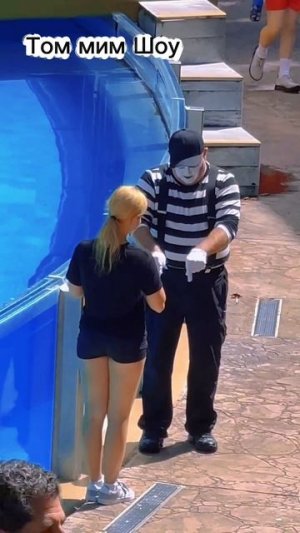 Том мим Шоу