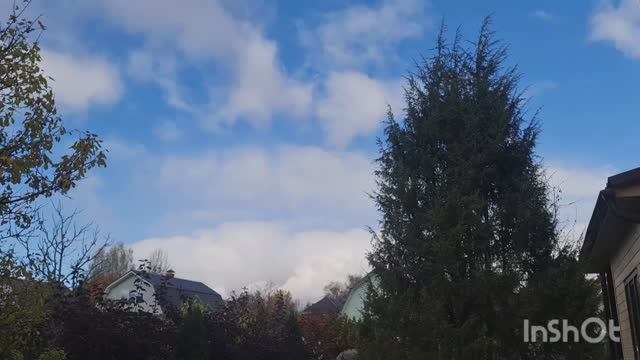 Дачные🏡 хроники