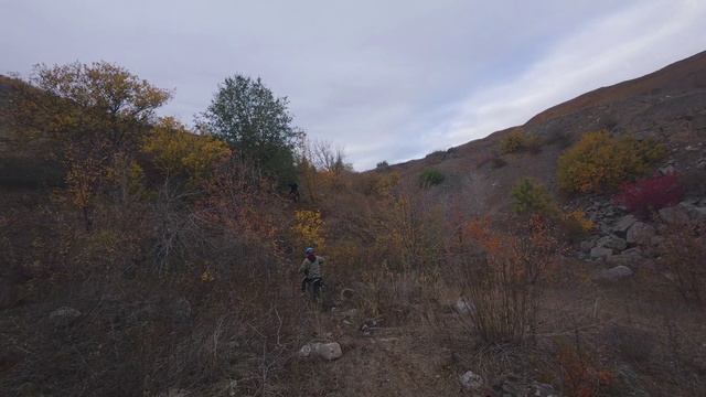 1110 почти полный круг