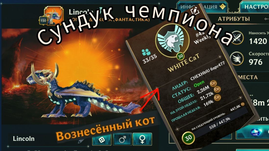 открытие сундука чемпиона🎉