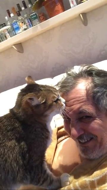 Любит Мурзик своего хозяина, и эта любовь взаимна!