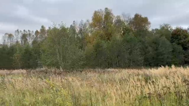 ЗУ :708 д. Мостки смотреть онлайн