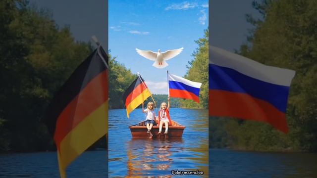 Weiße Taube  (белый голубь)