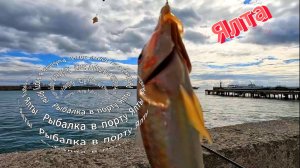 РЫБАЧИМ С РЫЖИКОМ В ПОРТУ ЯЛТЫ . ПОГОДА МЕНЯЕТСЯ НА ГЛАЗАХ.КРЫМ 13 ОКТЯБРЯ 2025