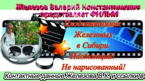 Плодопитомник Железовых в Сибири. Настоящий! Не нарисованный!