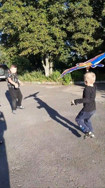 Zmey2025 смотреть онлайн