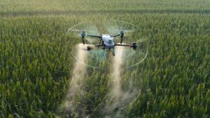 DJI Agras T50 T25. Первый взгляд