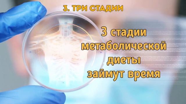 Что Такое Метаболическая Диета и Почему Она Подходит Всем смотреть онлайн