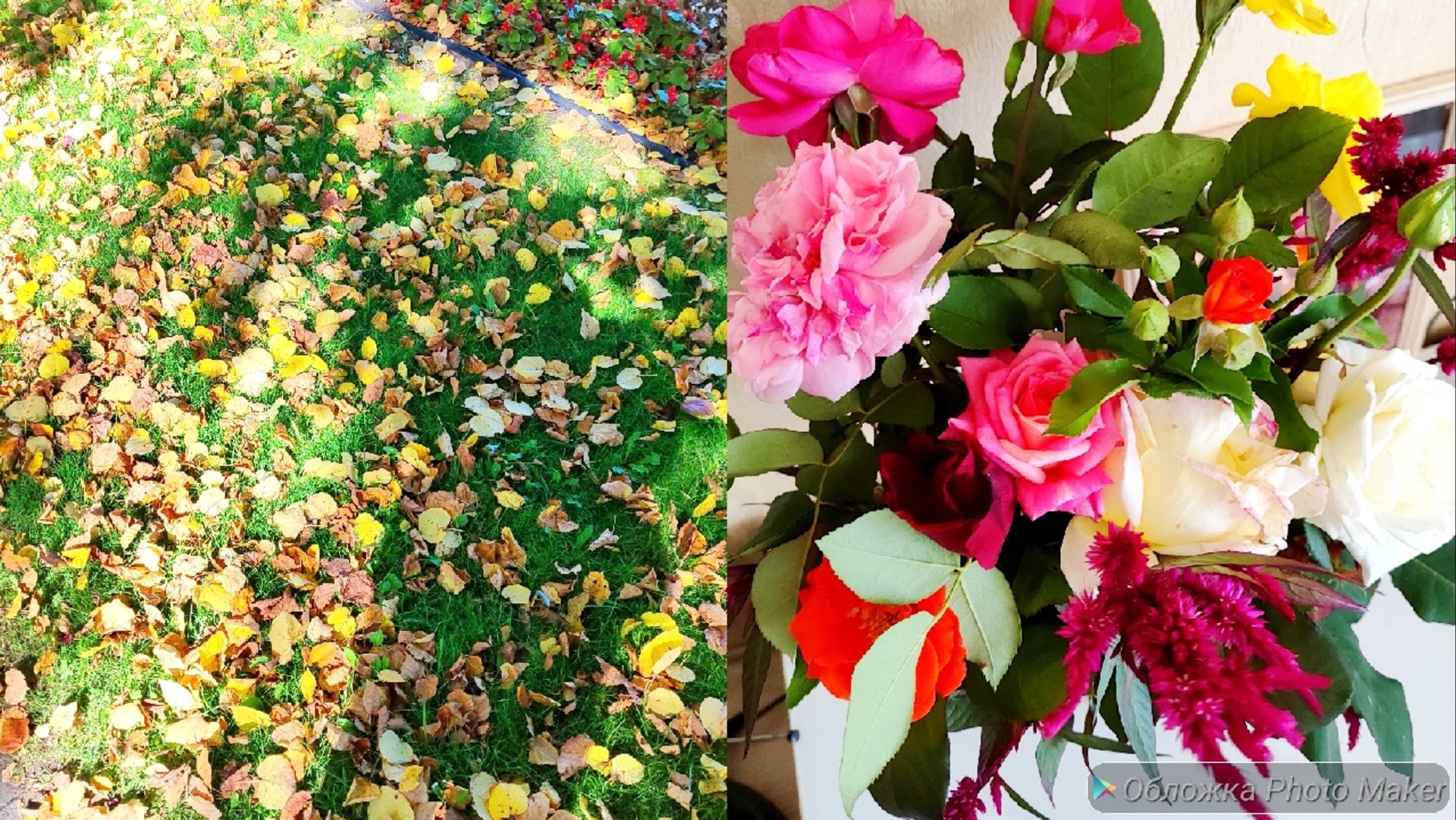 О ремонте/самая лёгкая запеканка/ осенние настроения смотреть онлайн