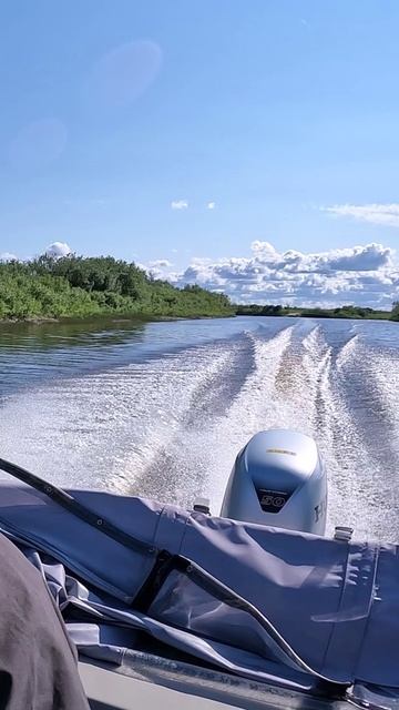 Шкипер гребной винт 11x17 + Хонда 50 смотреть онлайн