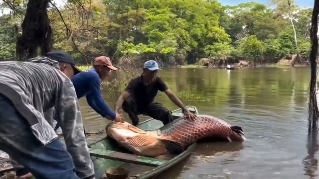 Caught A Huge Fish #FishingAdventure #HugeCatch #CatchOfTheDay #FishingLife #GoneFishing