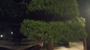 10-2025  Hotel Royal garden & spa