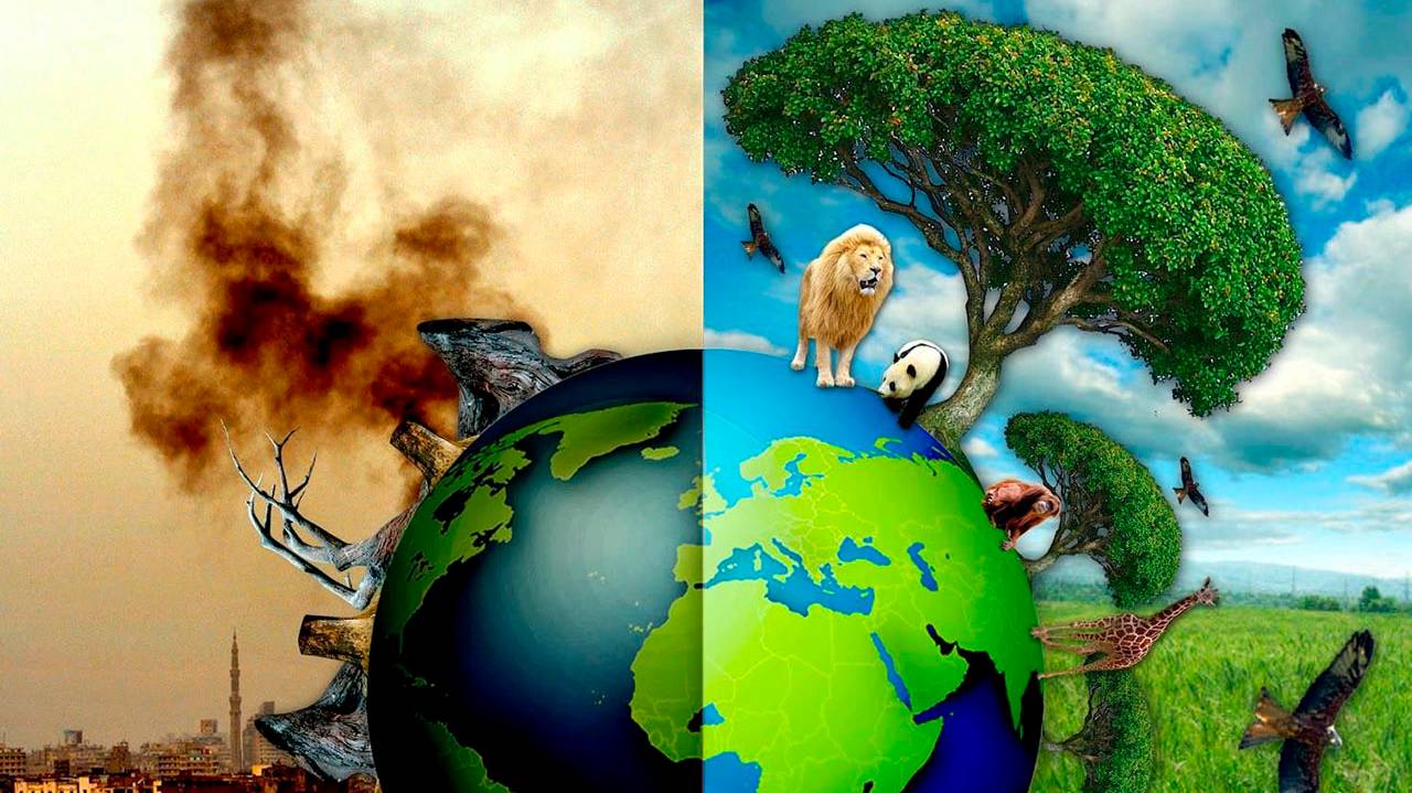 Планета Земля - Об эколгии