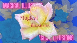 Magical illusions✨ lyrical music