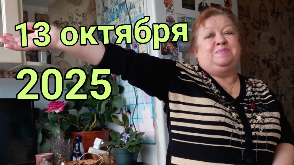 13 октября 2025. Надеждины покупки. смотреть онлайн