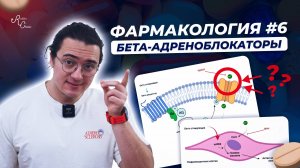 Фармакология #6. Бета-адреноблокаторы